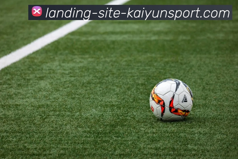 App Interface Preview