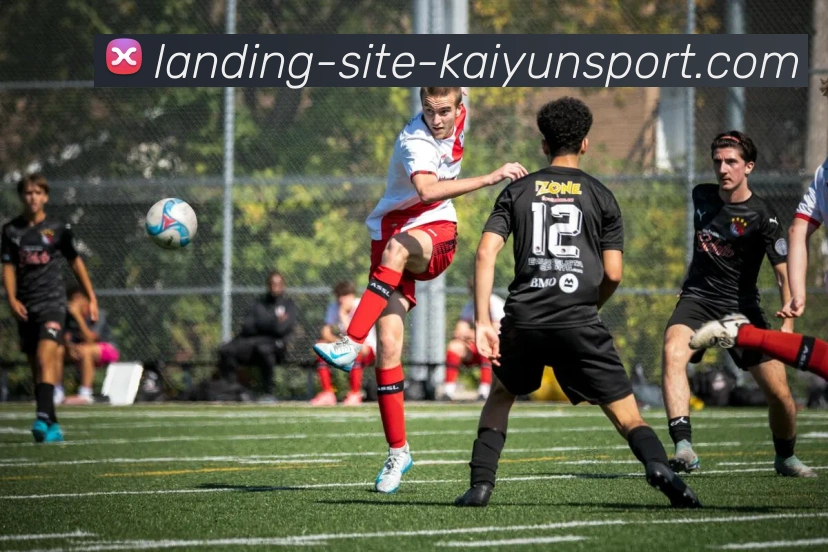 开云体育APP 封面图